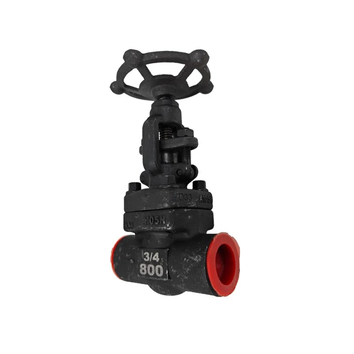 Socket Welded Globe Valve Forged Steel Shut-off Valves