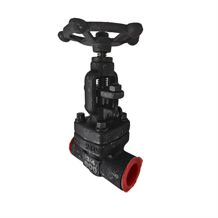 Socket Welded Globe Valve Forged Steel Shut-off Valves