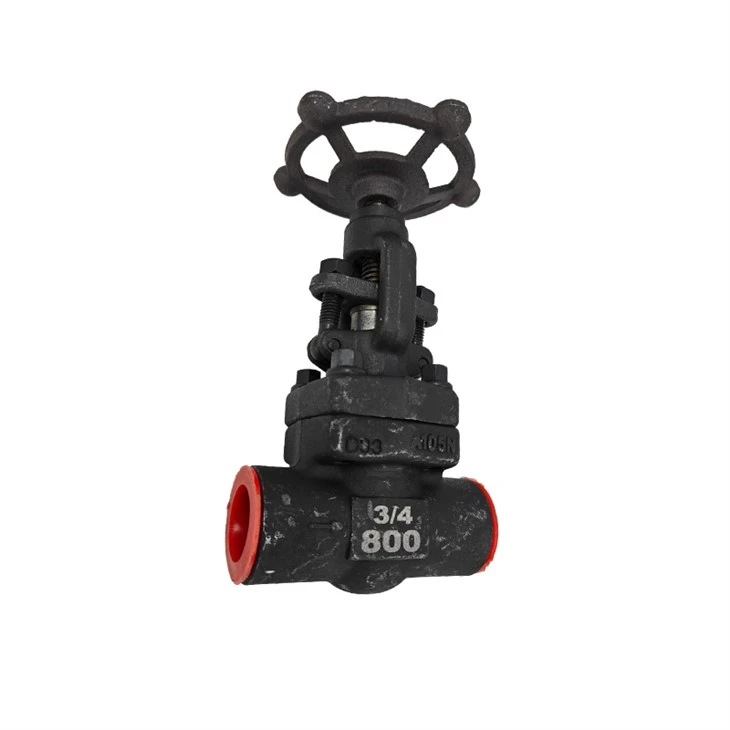 Socket Welded Globe Valve Forged Steel Shut-off Valves