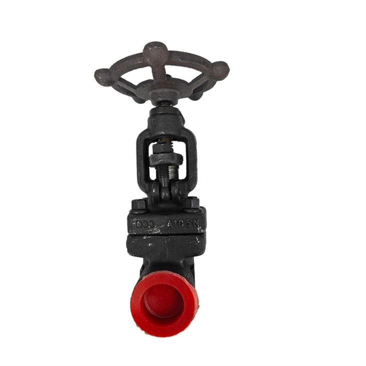 Socket Welded Globe Valve Forged Steel Shut-off Valves